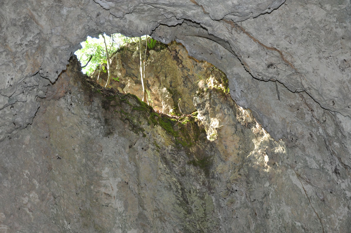 Grotta-Via-delle-Sbode-dett