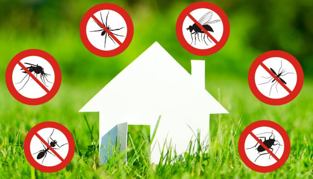 Si avvisa la cittadinanza che nella notte tra il 21 e il 22 Giugno 2024 a partire dalle ore 00:00 saranno effettuati trattamenti di demuscazione nel capoluogo comunale e frazioni