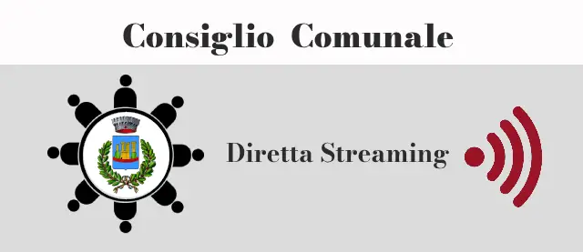 Consiglio in Streaming